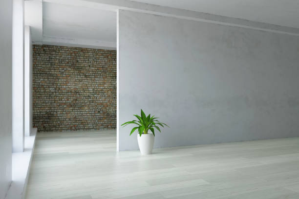 istock Empty Interior Room with Green Plant and White Wall 3D Illustration 1255794579