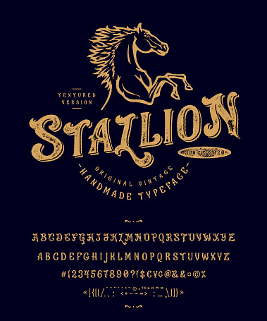 Font Stallion. Craft retro vintage typeface design. Graphic display alphabet. Uppercase and lowercase letters. Latin characters and numbers. Vector illustration. Old badge, label, logo template.