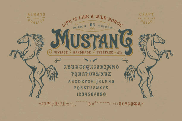 illustrations, cliparts, dessins animés et icônes de font mustang. conception de police de caractères vintage - ouest