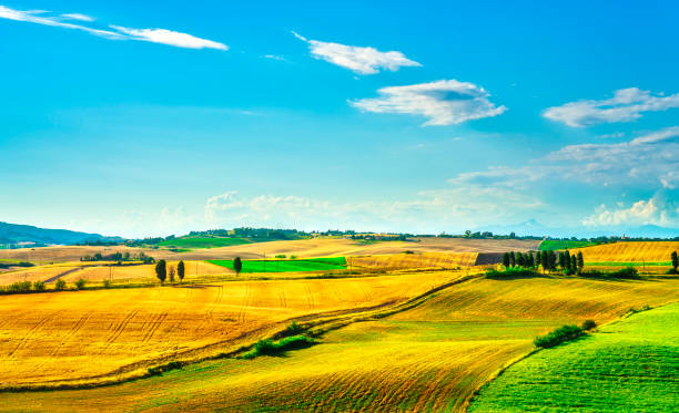 istock Tuscany countryside panorama, rolling hills and green fields. Pisa, Italy 1255797732