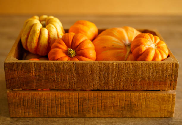 Assortment of pumpkins and squash in a rustic wood box on a timber surface