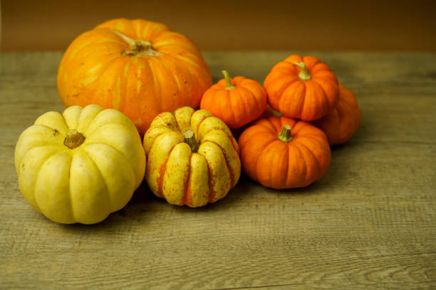 istock Variety of squash and pumpkins on a rustic timber wooden surface 1255806627