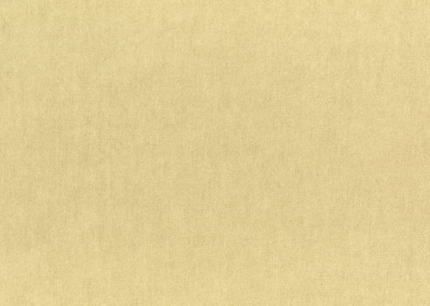 istock Close-up of sepia canvas material texture 1255807886