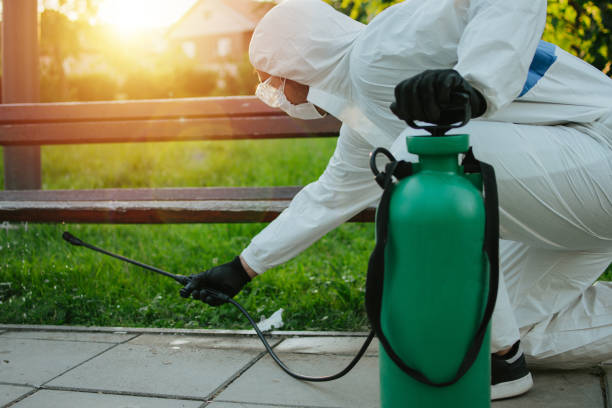 istock Man in protective suit disinfecting bench in the public park 1255808008