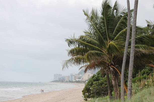 istock Fort Lauderdale Beach, Florida 1255808938