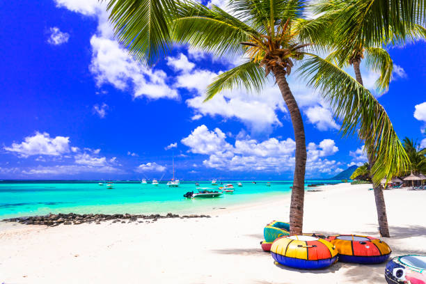 istock Tropical beach scenery . vacation in paradise island Mauritius 1255811944