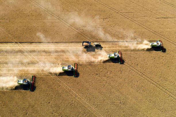 istock Harvesting In Agriculture Crop Field. 1255814205