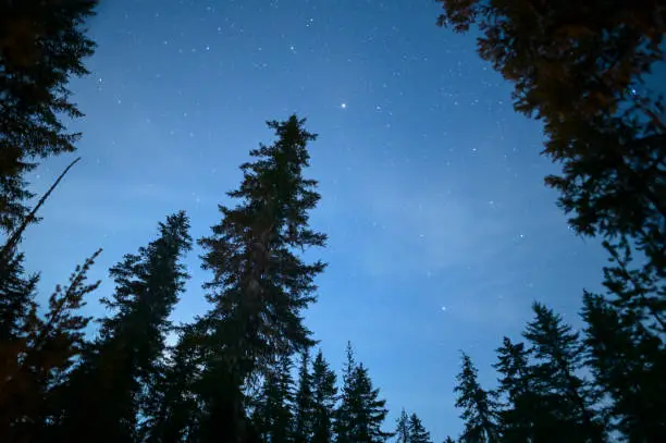 Photo of Night Sky With Stars Planets and Silhouetted Trees