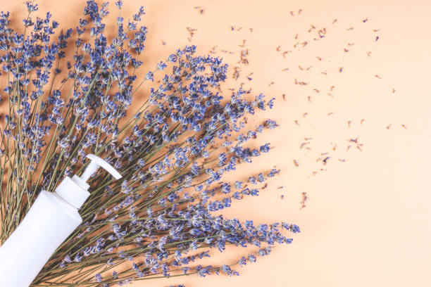 istock Bottle of cream and herbs. 1255815093