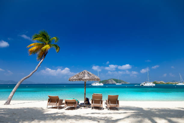 istock palm tree and chairs on Deadman's beach, Peter Island 1255815596