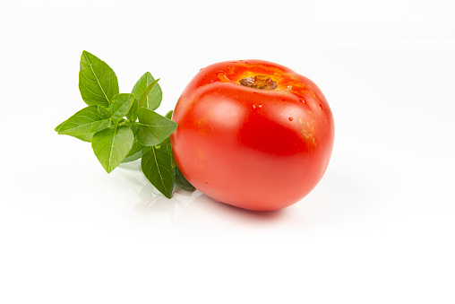 Tomato and basil isolated on white background