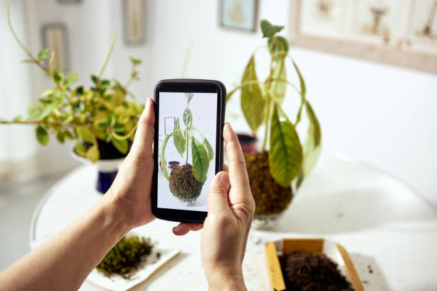 istock Seniors using smartphones for shooting at home 1255817789