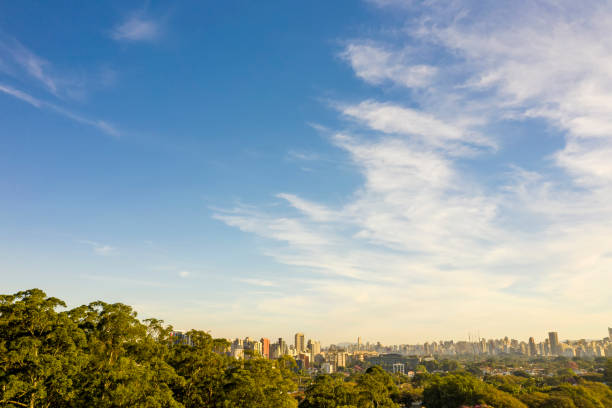 istock Sampa at morning 1255821559