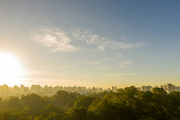 istock Sampa at morning 1255821562