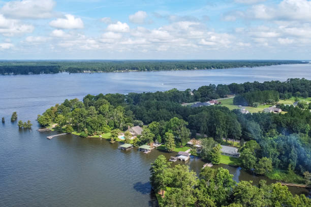 istock Drone View of Georgia's Lake Blackshear 1255822489