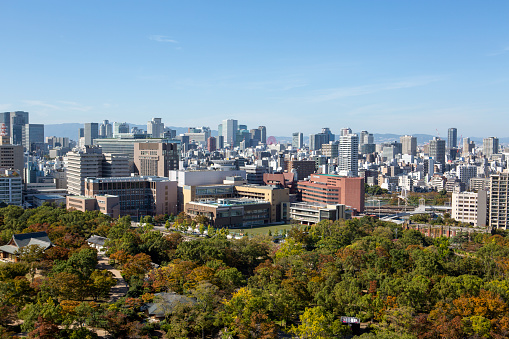 The skyline view on clear autumn day, as seen from Osaka Castle.  Office buildings and residential neighborhoods can be seen in the background.  The grounds and park area of Osaka Castle are in the foreground.