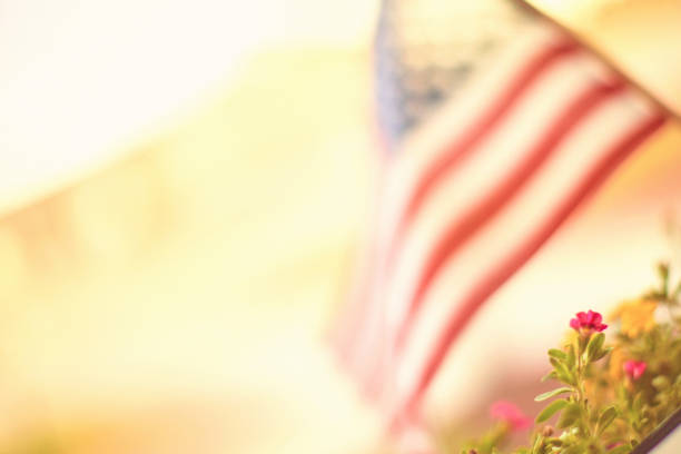 Sun drenched American flag background.