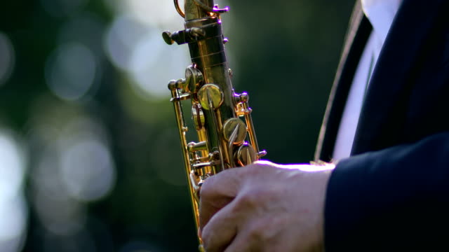 Saxophonist Playing Saxophone