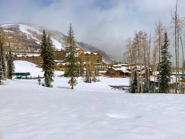 Snowfall in May This is a picture of the snow in the month of May. This was taken in Park City, Utah, on some of the local mountains. deer valley resort stock pictures, royalty-free photos & images