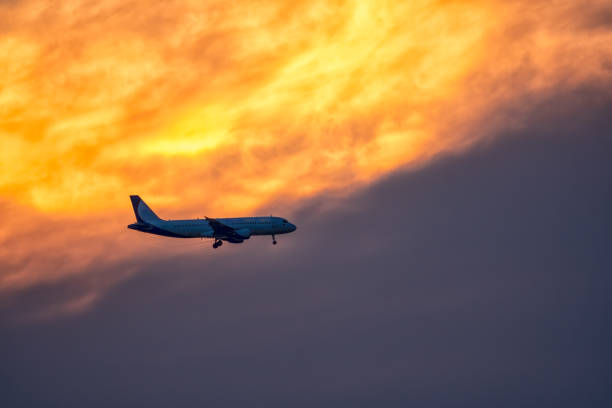 istock Airplane landing on orange cloudy dramatic sunset. Travel concept. 1255838313