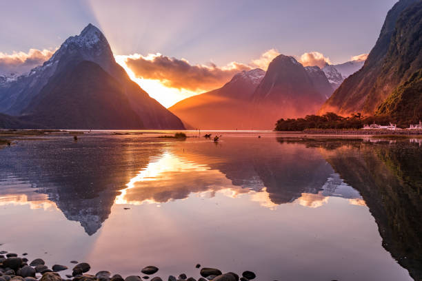 Golden Hour Sunset - Millfor Sound New Zealand image of Milford Sound with Mitre peak reflected in sound waters during golden hour. Magenta skies mitre peak stock pictures, royalty-free photos & images
