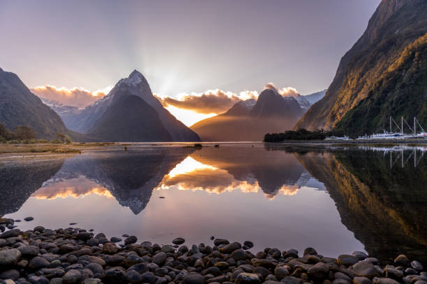 istock Milford Sound and Marina at sunset 1255839976