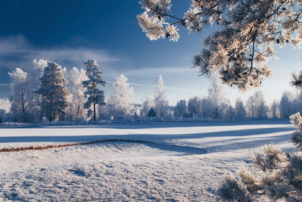 paesaggio invernale - snow nature sweden cold foto e immagini stock