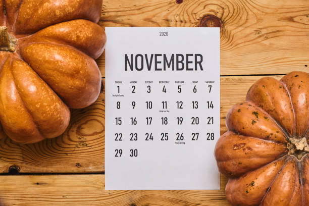 istock November 2020 monthly calendar on wood 1255843779