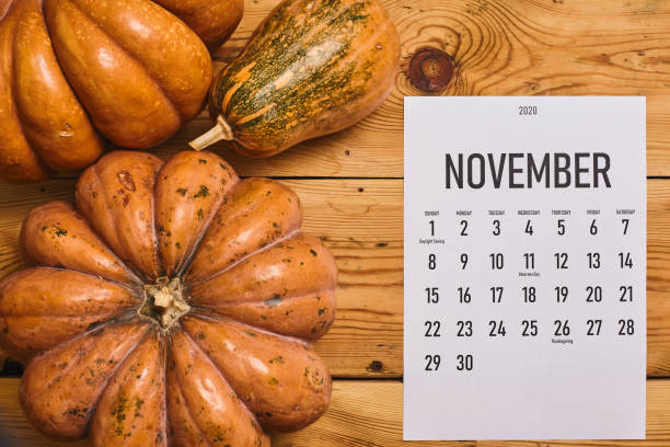 istock November 2020 monthly calendar on wood 1255844442