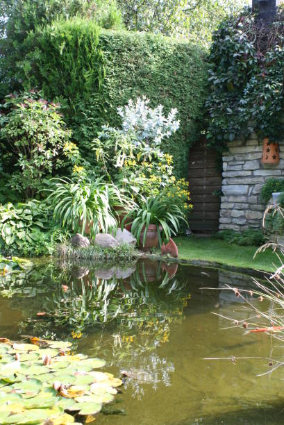 istock Garden pond with decoration 1255844443