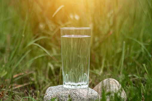 A glass of clean water on a background of greenery. The concept of natural products, no preservatives. Copy space