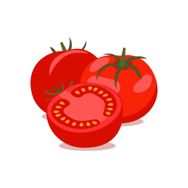 ilustraciones, imágenes clip art, dibujos animados e iconos de stock de tomate vectorial, racimo. ilustración vectorial. - white background stack heap food and drink