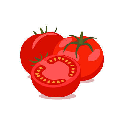 Vector tomato. bunch of whole and cut tomatoes on white background, vector illustration.