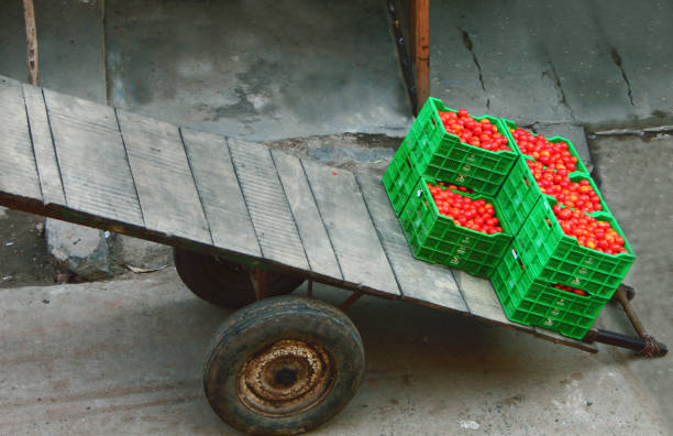 istock Tomatoes on the wooden plank 1255847288