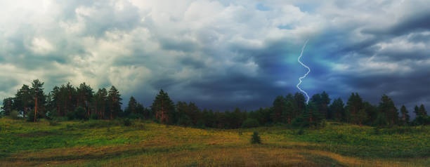 pioruny uderzają w las. epicki i niesamowity krajobraz na tle zbliżającej się burzy. dramatyczne chmury. - pine tree flash zdjęcia i obrazy z banku zdjęć