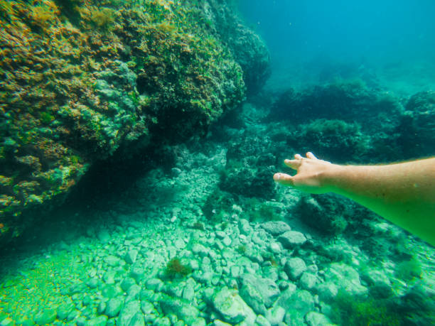istock man swimming underwater looking sea bottom 1255850530