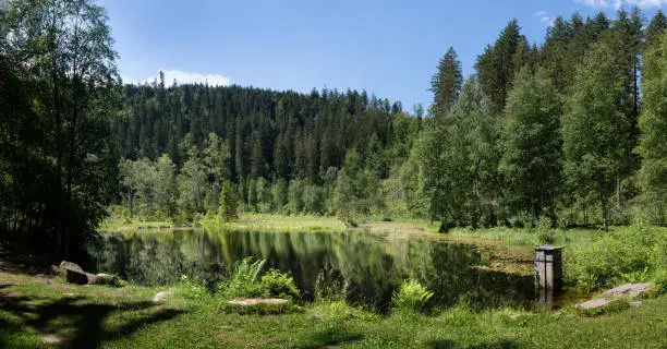 Lake Ellbachsee in the Black Forest between Freudenstadt Kniebis and Baiersbronn Mitteltal, Germany