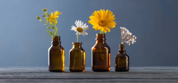 istock medicinal plants and brown bottles on  blue background 1255853774