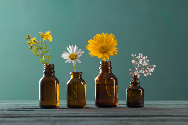 istock medicinal plants and brown bottles on  blue background 1255853776