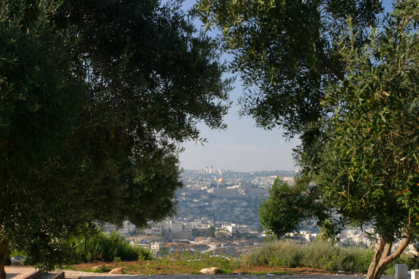 istock Jerusalem old city aerial view cityscape 1255853918