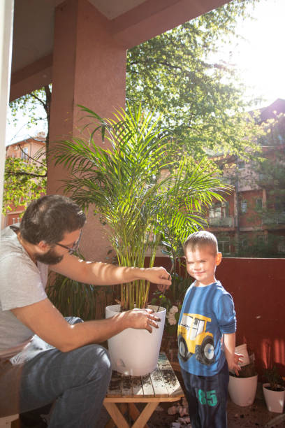 istock Planting Action On The Terrace 1255854805
