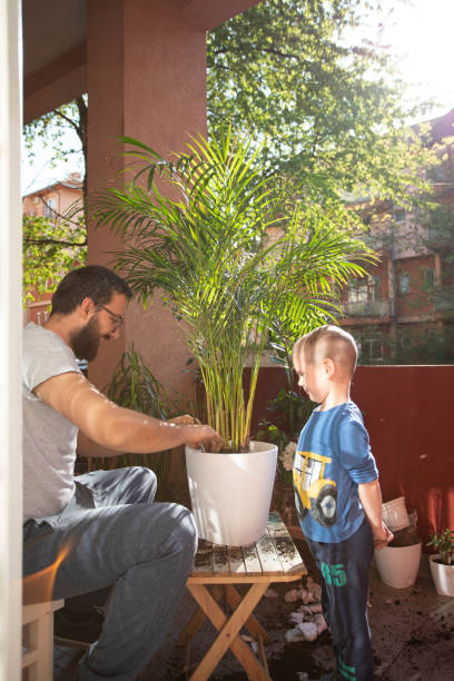 istock Good Care For His Plant 1255854809