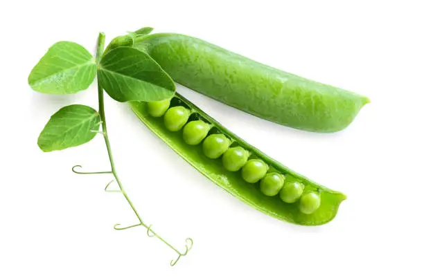 Fresh green pea in pod with leaves isolated on white background