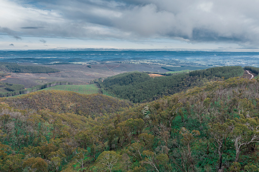 High angle view of farmland in rural Victoria