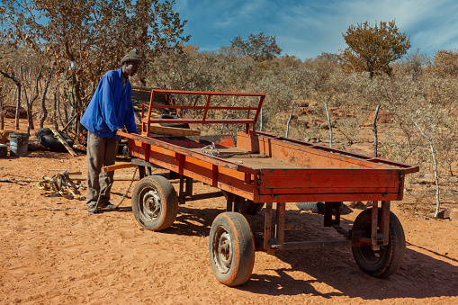 Elderly Motswana man in front of his cattle kraal, checking on his cart in the village