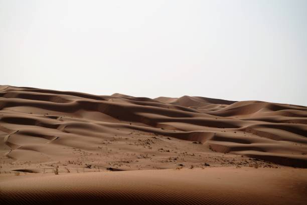 istock Scenic view on sand dunes in Liwa desert 1255857891
