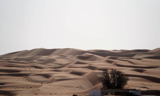 istock Scenic view on sand dunes in Liwa desert 1255857893