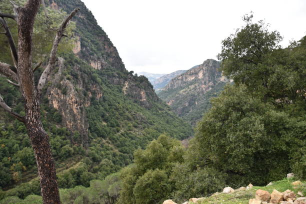 istock Kadisha Valley Vista from St. Anthony Monastery 1255860446