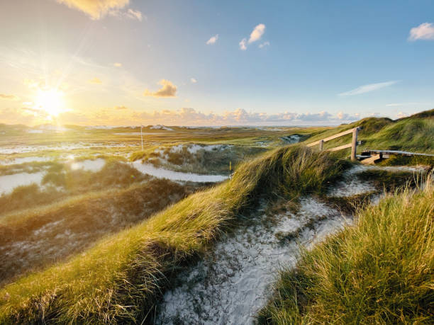 küstenlandschaft - beach boardwalk grass marram grass stock-fotos und bilder