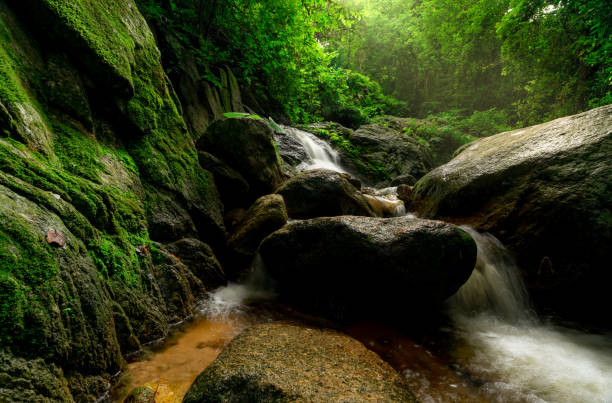 istock Beautiful waterfall in jungle. Waterfall in tropical forest with green tree and sunlight. Waterfall is flowing in jungle. Nature background. Rock or stone at waterfall. Green season travel in Thailand 1255860788